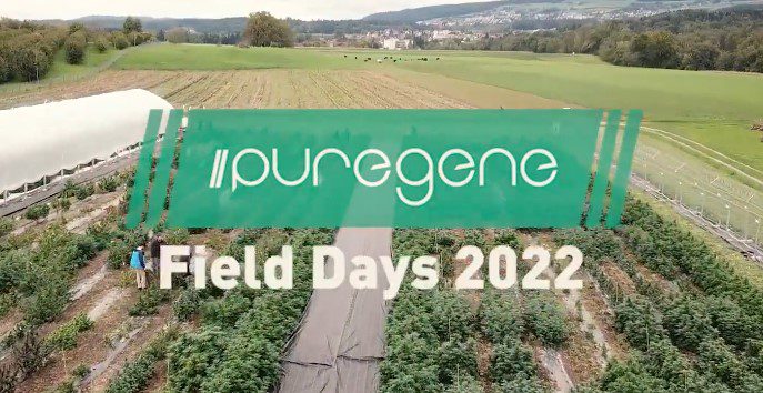 The Puregene Field Days 2022